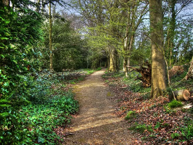 sandwalk