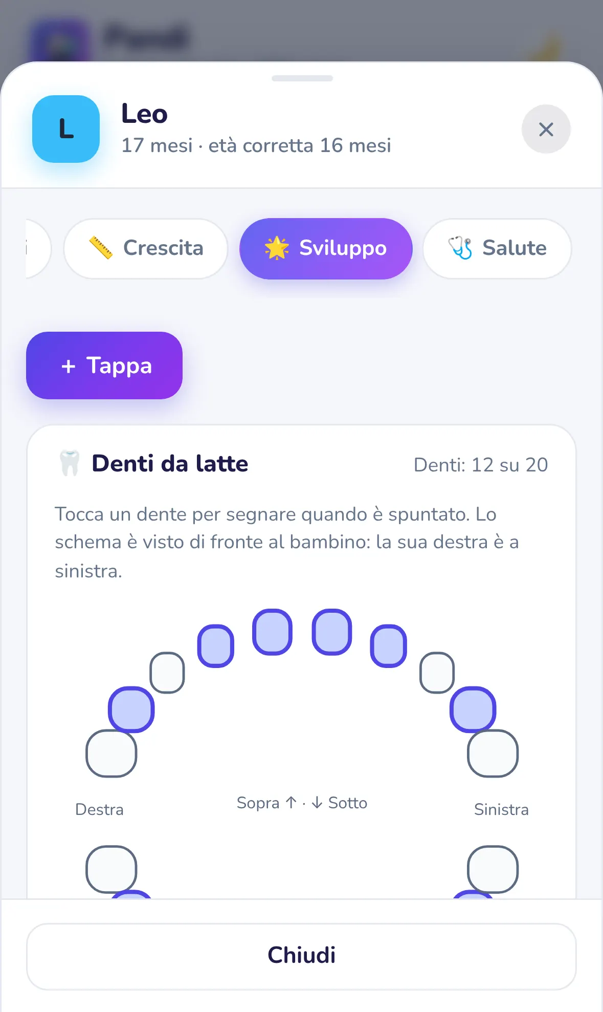 La scheda Sviluppo di Pandi con i denti da latte e le prime tappe